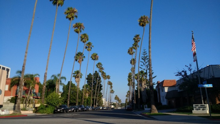 IMG_20170806_183718545_BURST001